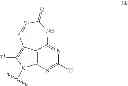 Fig. 29 - 2′,4′-substituted nucleosides as antiviral agents