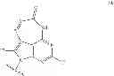 Fig. 50 - 2′,4′-substituted nucleosides as antiviral agents