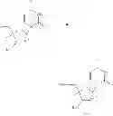 Fig. 64 - 2′,4′-substituted nucleosides as antiviral agents