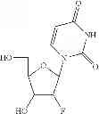 Fig. 71 - 2′,4′-substituted nucleosides as antiviral agents