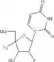Fig. 74 - 2′,4′-substituted nucleosides as antiviral agents