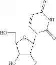Fig. 75 - 2′,4′-substituted nucleosides as antiviral agents