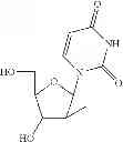 Fig. 83 - 2′,4′-substituted nucleosides as antiviral agents