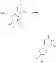 Fig. 96 - 2′,4′-substituted nucleosides as antiviral agents