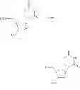 Fig. 97 - 2′,4′-substituted nucleosides as antiviral agents