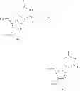 Fig. 98 - 2′,4′-substituted nucleosides as antiviral agents