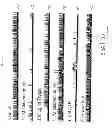 Fig. 09 - Methods for treating neural cell swelling