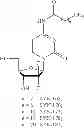 Fig. 06 - GEMCITABINE AMIDE DERIVATIVE AND PREPARATION METHOD AND USE THEREOF