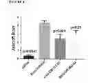 Fig. 06 - Method for treatment of pulmonary fibrosis