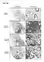 Fig. 09 - Method for treatment of pulmonary fibrosis