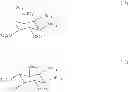 Fig. 10 - Pharmaceutical compounds for use in the therapy of infection
