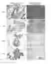 Fig. 02 - COMPOSITIONS AND METHODS FOR THE TREATMENT OF PROLIFERATIVE DISEASES
