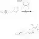 Fig. 35 - Hydrazide containing nuclear transport modulators and uses thereof