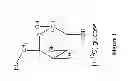 Fig. 02 - Ischemia/reperfusion protection compositions and methods of using
