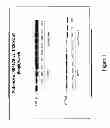 Fig. 02 - Antisense modulation of PTP1B expression