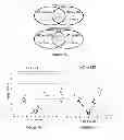 Fig. 12 - Micrornas in neurodegenerative disorders
