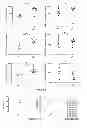 Fig. 14 - Micrornas in neurodegenerative disorders