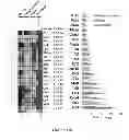 Fig. 32 - Micrornas in neurodegenerative disorders
