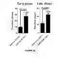 Fig. 55 - Micrornas in neurodegenerative disorders