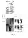Fig. 60 - Micrornas in neurodegenerative disorders