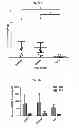 Fig. 41 - RNA aptamer specifically binding to carcinoembryonic antigen and use thereof