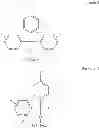 Fig. 04 - Solid phase peptide synthesis via side chain attachment