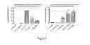 Fig. 02 - Method for preparation of a controlled release system