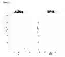 Fig. 09 - Gram-positive bacteria specific binding compounds