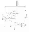 Fig. 06 - Double-stranded ribonucleic acids with rugged physico-chemical structure and highly specific biologic activity