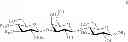 Fig. 49 - SYNTHESIS OF HMO CORE STRUCTURES
