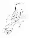 Fig. 01 - Device, system and method for blood vessel imaging and marking