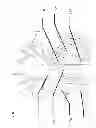 Fig. 07 - METHOD AND APPARATUS FOR THE TREATMENT OF HEADACHE