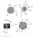 Fig. 02 - Multiconductor or multipolar guidewire