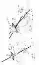Fig. 41 - Pneumoperitoneum device