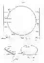 Fig. 63 - Pneumoperitoneum device
