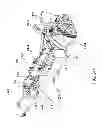 Fig. 41 - System and method for extraction of hair follicle