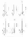 Fig. 22 - Suture passer with radiused upper jaw
