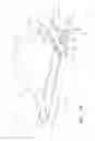 Fig. 09 - SYSTEMS AND METHODS FOR ACCOMODATING ANATOMICAL CHARACTERISTICS IN THE TREATMENT OF SEPTAL DEFECTS