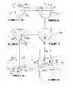 Fig. 02 - Aortic annuloplasty ring