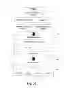 Fig. 48 - INTERACTIVE SERVICE AND ADVERTISING SYSTEMS AND METHODS