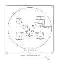 Fig. 01 - PET MANAGEMENT AND PET GROUPS IN A GEO-SPATIAL ENVIRONMENT