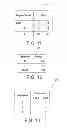 Fig. 06 - User input auto-completion