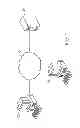 Fig. 02 - Systems And Methods For Ranking A Plurality Of Documents Based  On User Activity