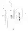 Fig. 06 - REPOSITORY CONTENT ANALYSIS AND MANAGEMENT