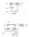 Fig. 03 - Method and Apparatus for Determining an Activity Description