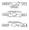 Fig. 01 - Device management service