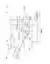 Fig. 09 - Electronic information caching
