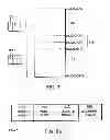 Fig. 09 - Apparatus and method for handling page protection faults in a computing system