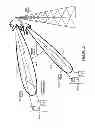 Fig. 24 - SYSTEMS/METHODS OF ENCRYPTION