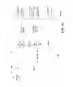 Fig. 05 - Process authenticated memory page encryption